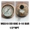 Pressure Gauge Nuova Fima
